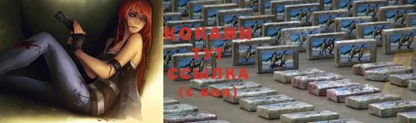 стаф Арсеньев