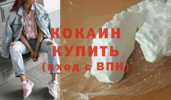 стаф Арсеньев