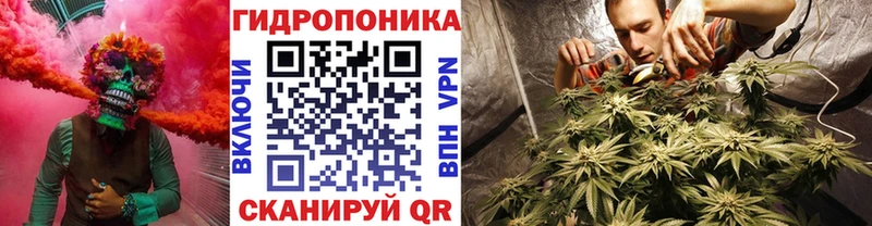 Марихуана сатива  Нижний Ломов 